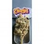 Zmoothiez Seeds Supa Choopz Smoke Buds Weed Ganja Skunk Dope Pot Images Pics Nuggets