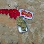 Supa Choopz Feminized by Zmoothiez Seeds THC Content Potency Strength CBD Height Yield Flowering Time Indica Sativa Genetics