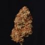 Superior Seedstockers Thunder Banana Smoke Buds Weed Ganja Skunk Dope Pot Images Pics Nuggets