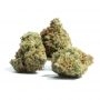 Lilt BX Regular by Trichome Jungle Seeds THC Content Potency Strength CBD Height Yield Flowering Time Indica Sativa Genetics