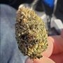 Trichome Jungle Seeds Pink Pineapple Smoke Buds Weed Ganja Skunk Dope Pot Images Pics Nuggets