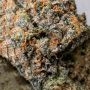 Pink Pineapple Regular by Trichome Jungle Seeds THC Content Potency Strength CBD Height Yield Flowering Time Indica Sativa Genet