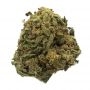 Tropical Orange Soul Feminized by Trichome Jungle Seeds THC Content Potency Strength CBD Height Yield Flowering Time Indica Sati