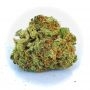 Pineapple Soul Feminized by Trichome Jungle Seeds THC Content Potency Strength CBD Height Yield Flowering Time Indica Sativa Gen