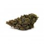 Superior Seedstockers Panty Punch Smoke Buds Weed Ganja Skunk Dope Pot Images Pics Nuggets
