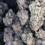 BSB Genetics Cookies Glue XL Smoke Buds Weed Ganja Skunk Dope Pot Images Pics Nuggets