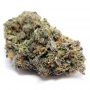 Tha Gelee Feminized by Grateful Seeds THC Content Potency Strength CBD Height Yield Flowering Time Indica Sativa Genetics