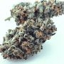 Grounded Genetics Zilk Road Smoke Buds Weed Ganja Skunk Dope Pot Images Pics Nuggets