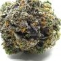 Terp Treez Seed Co Blue Nerdz Auto Smoke Buds Weed Ganja Skunk Dope Pot Images Pics Nuggets