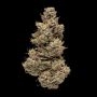 Terp Treez Seed Co Cannabis Strain Tre Lime Sorbetto Auto Feminized Marijuana Seeds Original Collector Souvenir Authentic Packag