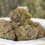 Terp Treez Seed Co Oreoz x Orange Punch Auto Smoke Buds Weed Ganja Skunk Dope Pot Images Pics Nuggets