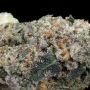 Terp Treez Seed Co Blue Nerdz Smoke Buds Weed Ganja Skunk Dope Pot Images Pics Nuggets