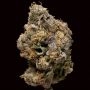 Ice Kreme Cake Feminized Marijuana Strain by Terp Treez Seed Co For Sale Online at Cannabis Seeds Outlet