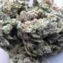 Terp Treez Seed Co Lemon Zushi Smoke Buds Weed Ganja Skunk Dope Pot Images Pics Nuggets