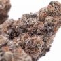 Mochi x Zombie Kush Feminized Marijuana Strain by Ripper Seeds For Sale Online at Cannabis Seeds Outlet