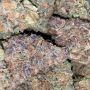 Ripper Seeds Mochi x Zombie Kush Smoke Buds Weed Ganja Skunk Dope Pot Images Pics Nuggets