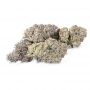 Flavour Chasers Banana Zkittlez Smoke Buds Weed Ganja Skunk Dope Pot Images Pics Nuggets