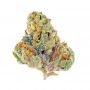 Frosteez Farmz Cannabis Strain Strawbz Auto Feminized Marijuana Seeds Original Collector Souvenir Authentic Packaging Packs