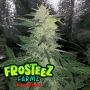 Strawbz Auto Feminized Marijuana Strain by Frosteez Farmz For Sale Online at Cannabis Seeds Outlet