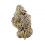 Frosteez Farmz Cannabis Strain Cup Cakez Auto Feminized Marijuana Seeds Original Collector Souvenir Authentic Packaging Packs