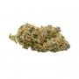 Frosteez Farmz Cannabis Strain AirHeadz Auto Feminized Marijuana Seeds Original Collector Souvenir Authentic Packaging Packs
