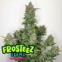 AirHeadz Auto Feminized Marijuana Strain by Frosteez Farmz For Sale Online at Cannabis Seeds Outlet