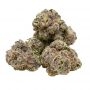 Frosteez Farmz Cannabis Strain Slurpeez Auto Feminized Marijuana Seeds Original Collector Souvenir Authentic Packaging Packs