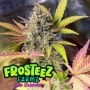 StarBurzt Auto Feminized Marijuana Strain by Frosteez Farmz For Sale Online at Cannabis Seeds Outlet