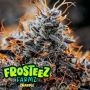 Znapple Feminized Marijuana Strain by Frosteez Farmz For Sale Online at Cannabis Seeds Outlet