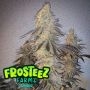 Smorez Feminized Marijuana Strain by Frosteez Farmz For Sale Online at Cannabis Seeds Outlet