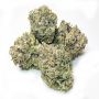 Frosteez Farmz Cannabis Strain Smorez Feminized Marijuana Seeds Original Collector Souvenir Authentic Packaging Packs