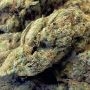 Frosteez Farmz Smorez Smoke Buds Weed Ganja Skunk Dope Pot Images Pics Nuggets