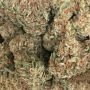 Frosteez Farmz Zangria Smoke Buds Weed Ganja Skunk Dope Pot Images Pics Nuggets