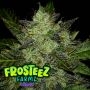 Gusherz Feminized Marijuana Strain by Frosteez Farmz For Sale Online at Cannabis Seeds Outlet