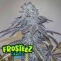 Zmints Feminized Marijuana Strain by Frosteez Farmz For Sale Online at Cannabis Seeds Outlet