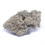 Frosteez Farmz Cannabis Strain Sprinklez Feminized Marijuana Seeds Original Collector Souvenir Authentic Packaging Packs