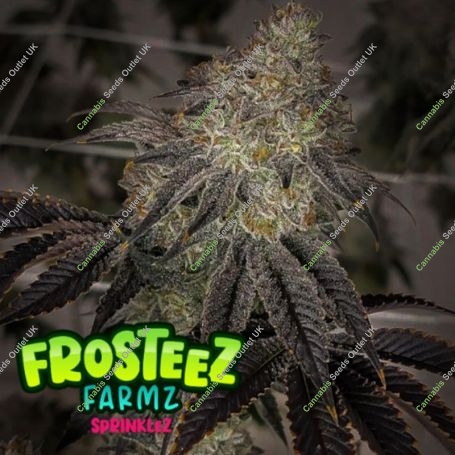 Sprinklez Feminized Marijuana Strain by Frosteez Farmz For Sale Online at Cannabis Seeds Outlet
