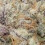 Frosteez Farmz Sprinklez Smoke Buds Weed Ganja Skunk Dope Pot Images Pics Nuggets