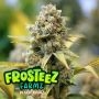 Peach Ringz Feminized Marijuana Strain by Frosteez Farmz For Sale Online at Cannabis Seeds Outlet