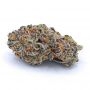 Frosteez Farmz Cannabis Strain Butter Cupz Feminized Marijuana Seeds Original Collector Souvenir Authentic Packaging Packs