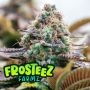 Slusheez Feminized Marijuana Strain by Frosteez Farmz For Sale Online at Cannabis Seeds Outlet