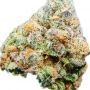 Frosteez Farmz Slusheez Smoke Buds Weed Ganja Skunk Dope Pot Images Pics Nuggets