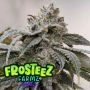 Frosteez Feminized Marijuana Strain by Frosteez Farmz For Sale Online at Cannabis Seeds Outlet