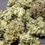 DNA Genetics Bakers Delight Smoke Buds Weed Ganja Skunk Dope Pot Images Pics Nuggets