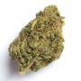 DNA Genetics El Fuego Smoke Buds Weed Ganja Skunk Dope Pot Images Pics Nuggets