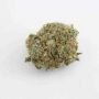 Stacked OG Kush Feminized by DNA Genetics THC Content Potency Strength CBD Height Yield Flowering Time Indica Sativa Genetics