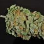 Cataract Kush Feminized by DNA Genetics THC Content Potency Strength CBD Height Yield Flowering Time Indica Sativa Genetics