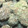 DNA Genetics Kushberry Smoke Buds Weed Ganja Skunk Dope Pot Images Pics Nuggets
