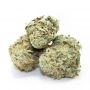 Royal Hulk Regular by Dark Horse Genetics THC Content Potency Strength CBD Height Yield Flowering Time Indica Sativa Genetics