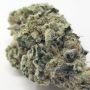 Perfect Tree Seeds Chantilly Smoke Buds Weed Ganja Skunk Dope Pot Images Pics Nuggets